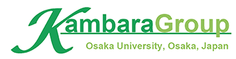kambara group